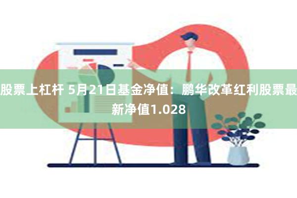 股票上杠杆 5月21日基金净值：鹏华改革红利股票最新净值1.028