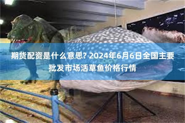 期货配资是什么意思? 2024年6月6日全国主要批发市场活草鱼价格行情