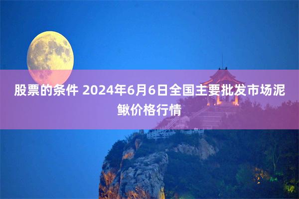 股票的条件 2024年6月6日全国主要批发市场泥鳅价格行情