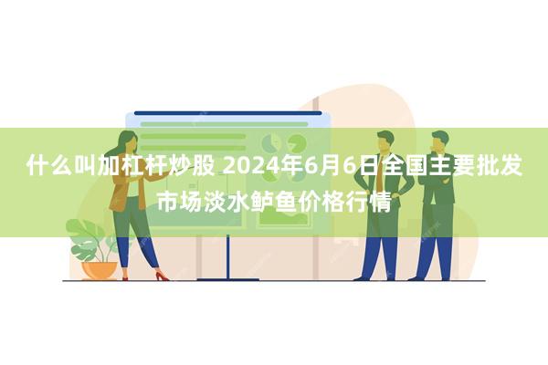 什么叫加杠杆炒股 2024年6月6日全国主要批发市场淡水鲈鱼价格行情