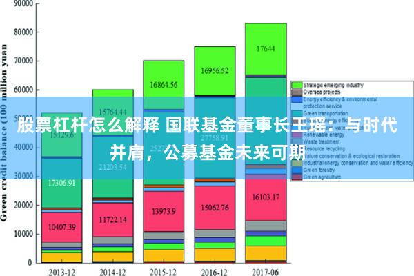 股票杠杆怎么解释 国联基金董事长王瑶：与时代并肩，公募基金未来可期