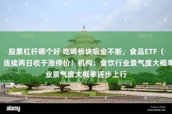 股票杠杆哪个好 吃喝板块吸金不断，食品ETF（515710）连续两日收于涨停价！机构：食饮行业景气度大概率逐步上行