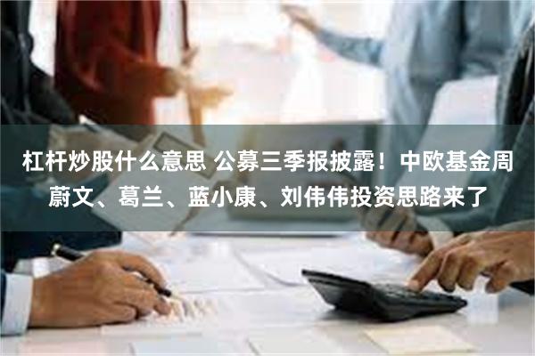 杠杆炒股什么意思 公募三季报披露！中欧基金周蔚文、葛兰、蓝小康、刘伟伟投资思路来了