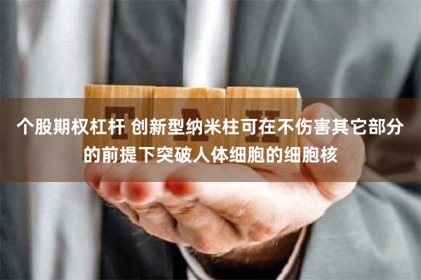 个股期权杠杆 创新型纳米柱可在不伤害其它部分的前提下突破人体细胞的细胞核