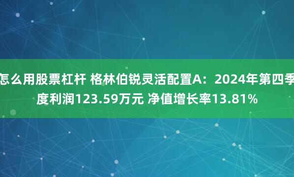 怎么用股票杠杆 格林伯锐灵活配置A：2024年第四季度利润123.59万元 净值增长率13.81%