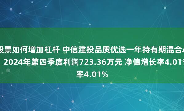 股票如何增加杠杆 中信建投品质优选一年持有期混合A：2024年第四季度利润723.36万元 净值增长率4.01%