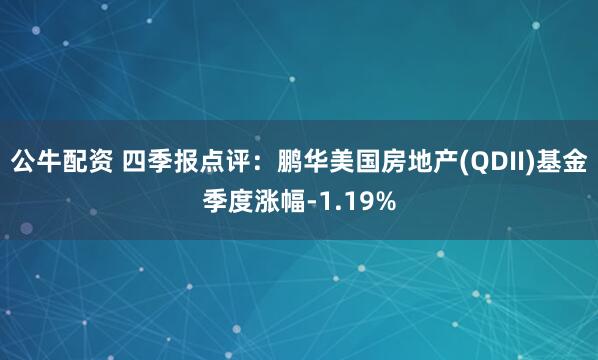 公牛配资 四季报点评：鹏华美国房地产(QDII)基金季度涨幅-1.19%