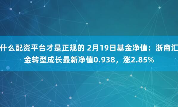 什么配资平台才是正规的 2月19日基金净值：浙商汇金转型成长最新净值0.938，涨2.85%