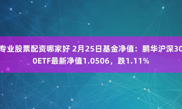 专业股票配资哪家好 2月25日基金净值：鹏华沪深300ETF最新净值1.0506，跌1.11%