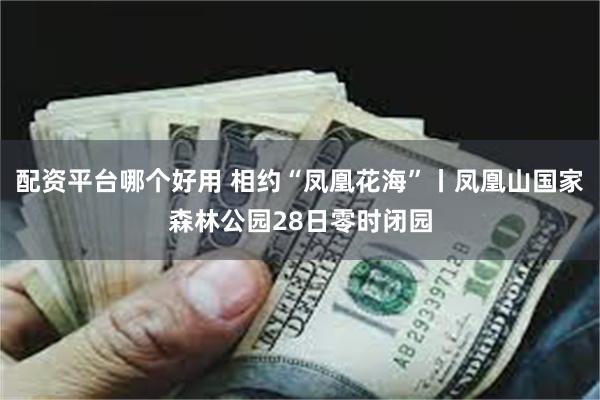 配资平台哪个好用 相约“凤凰花海”丨凤凰山国家森林公园28日零时闭园