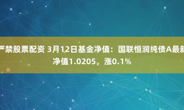 严禁股票配资 3月12日基金净值：国联恒润纯债A最新净值1.0205，涨0.1%