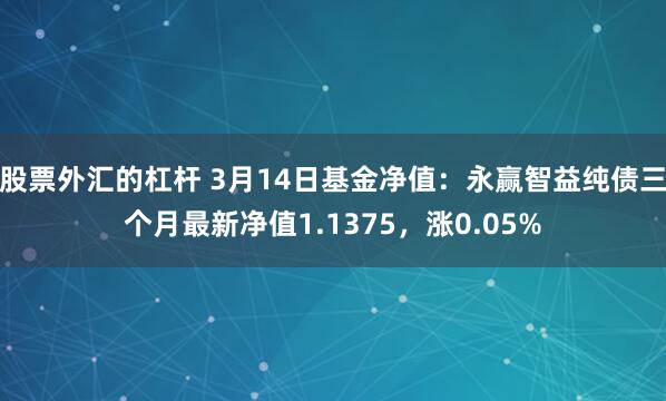 股票外汇的杠杆 3月14日基金净值：永赢智益纯债三个月最新净值1.1375，涨0.05%